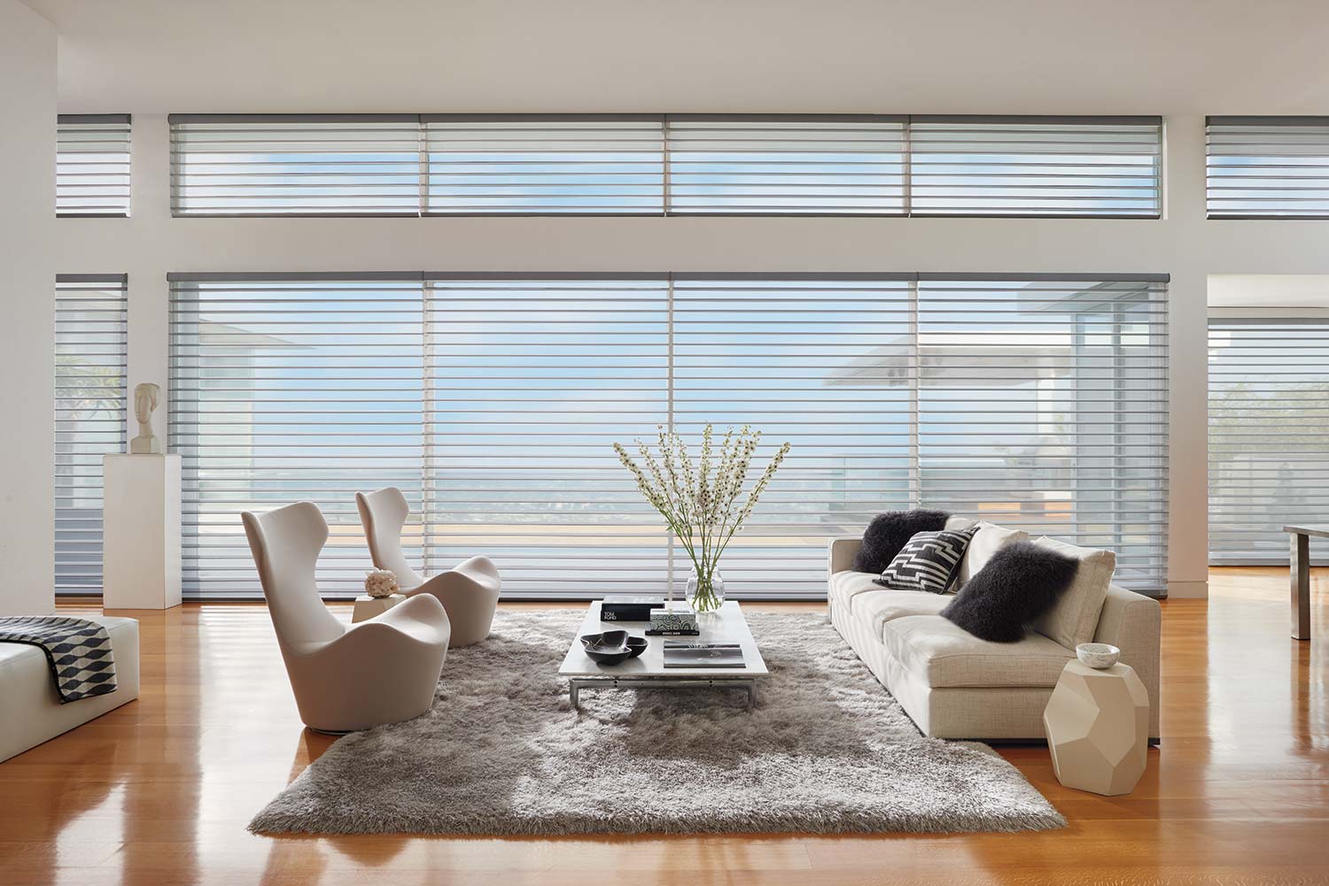 a modern living room with sheer shades